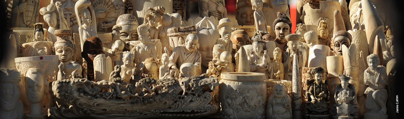 Ivory Carving 