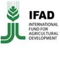 International Fund for Agricultural Development Logo