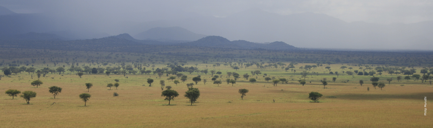 Uganda