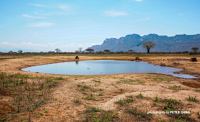 World Water Day