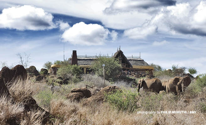 Elephants at Satao Elerai Lodge in Kenya's Amboseli ecosystem