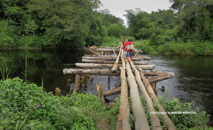 Crossing river in DRC tropical rainforest
