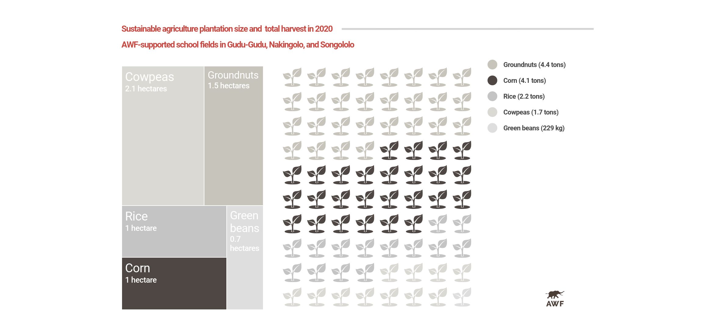 Infographic showing farm size and harvest from sustainable agriculture in Bili