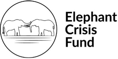 Logo of Elephant Crisis Fund