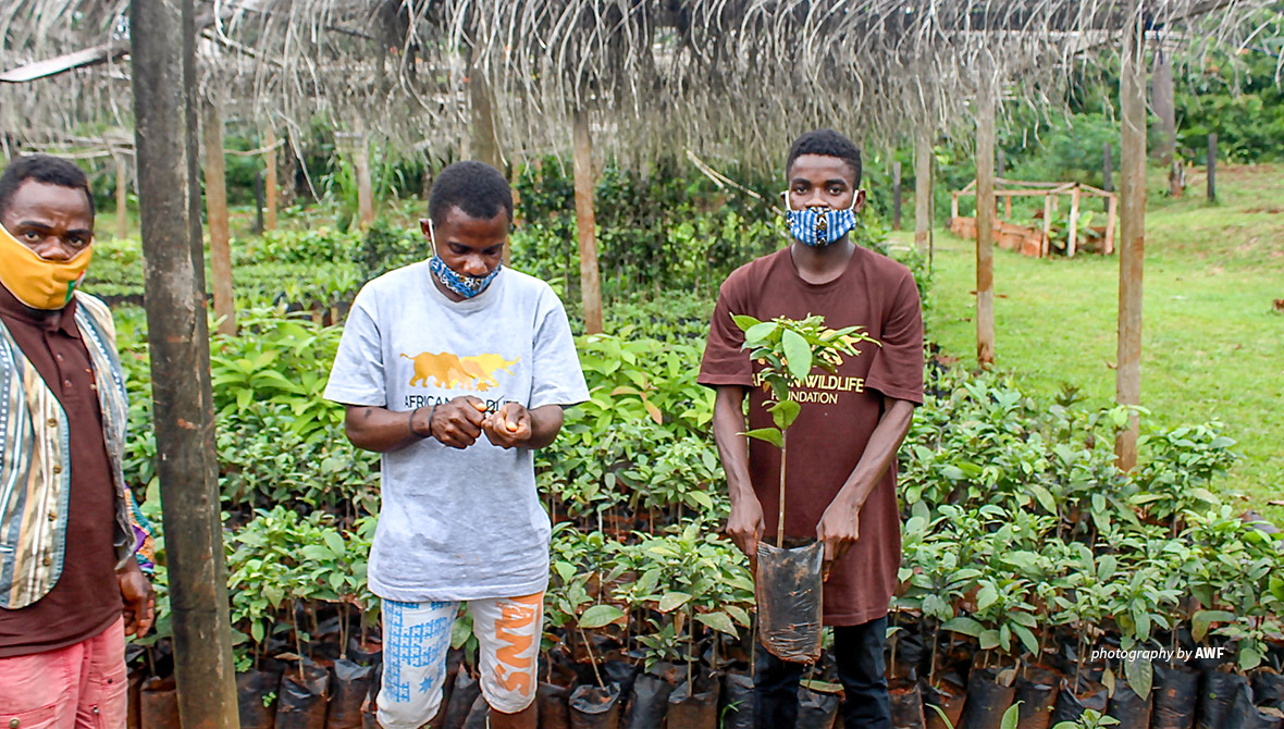 Photo of non-timber forest product exchange program between Dja and Campo