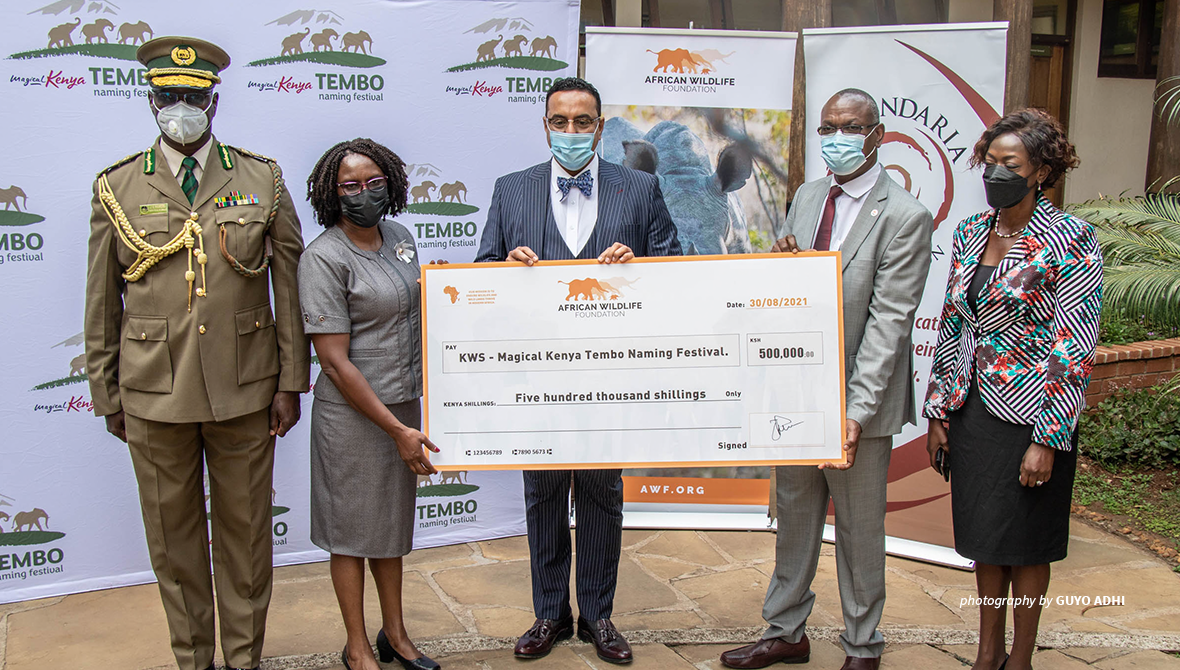 Check handover for Tembo naming festival