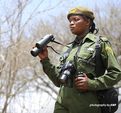 Photo of LUMO community wildlife scout Dontillah Saru