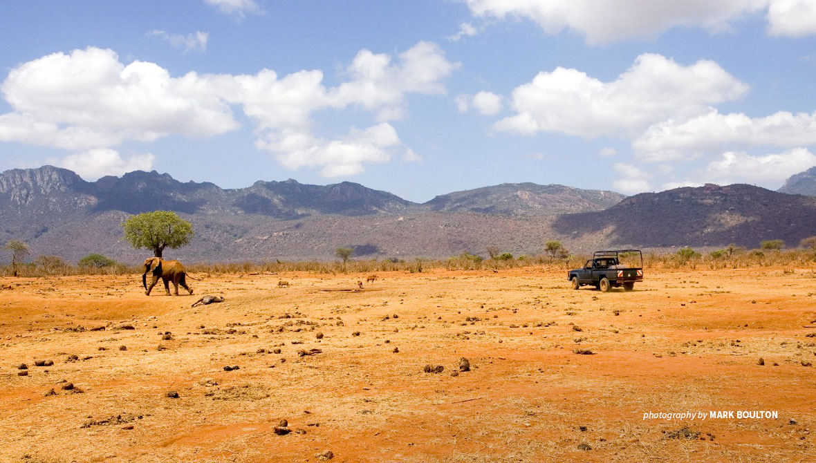 Dry landscape in Tsavo