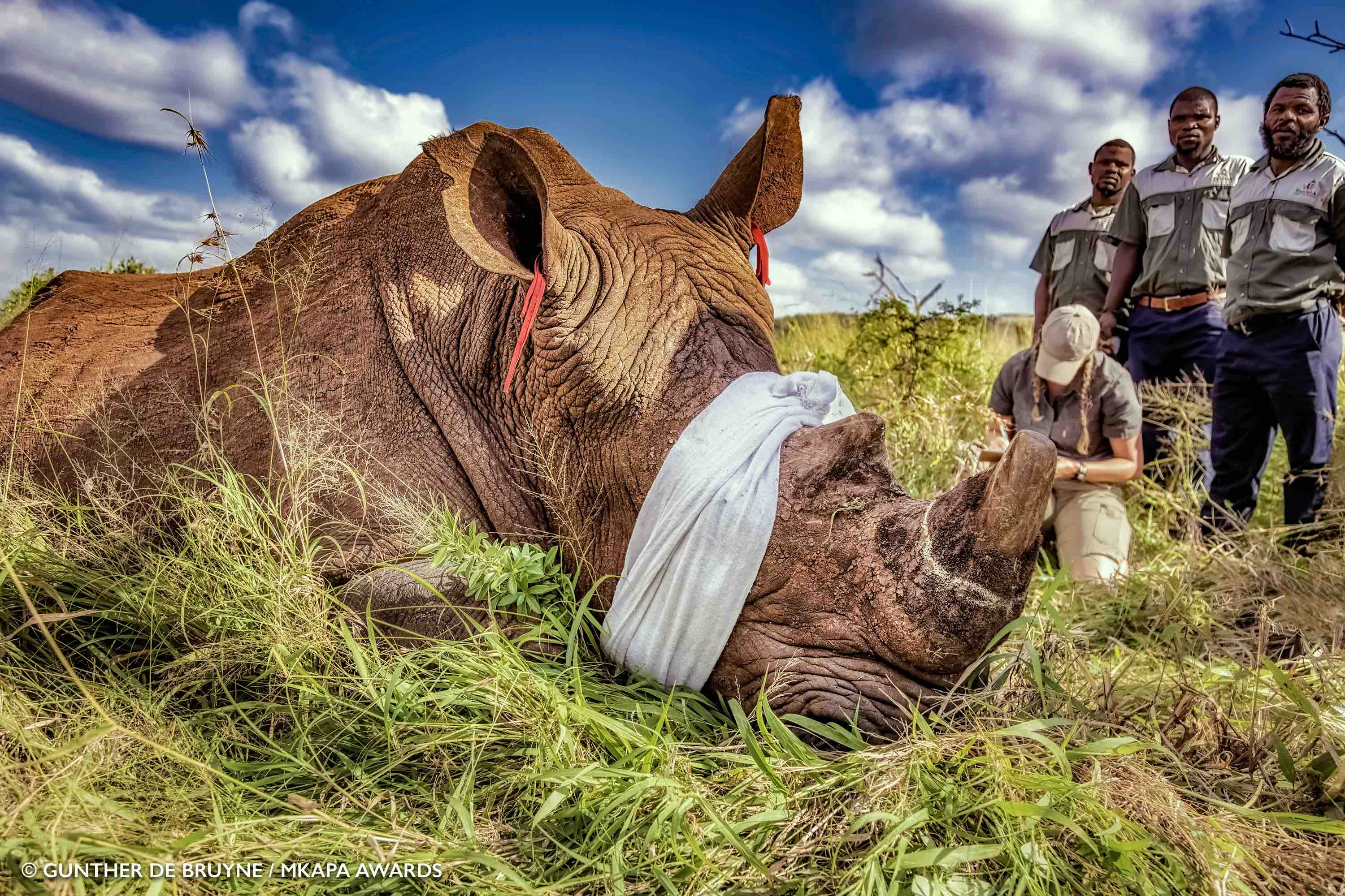 Mkapa Awards Gunther De Bruyne Highly Honored Conservation Heroes