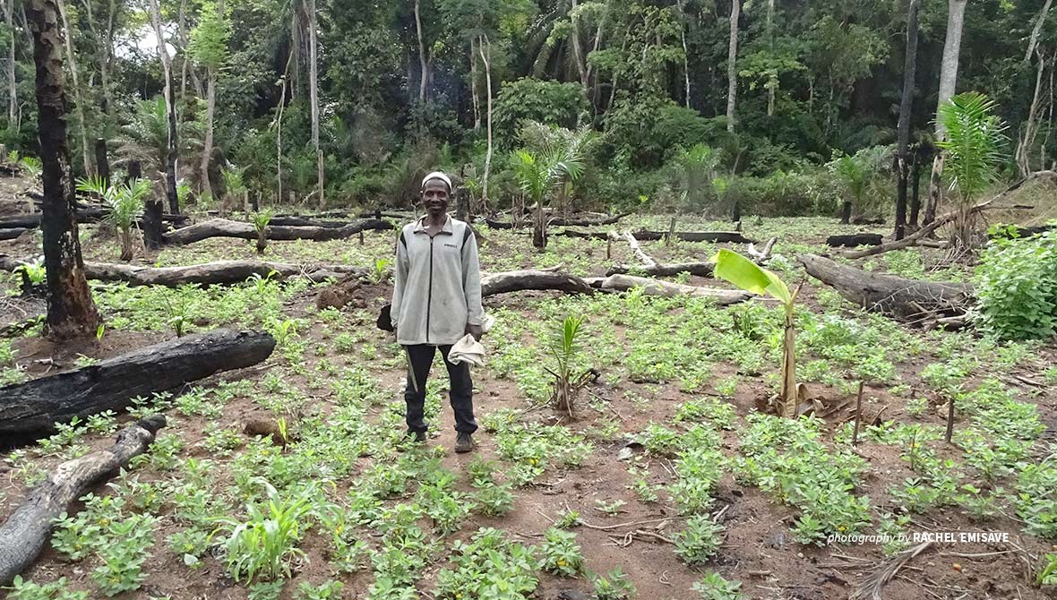 Farmer Raymond Sango in his field in Bili, DRC