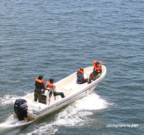 Zimbabwe woman ranger operating boat