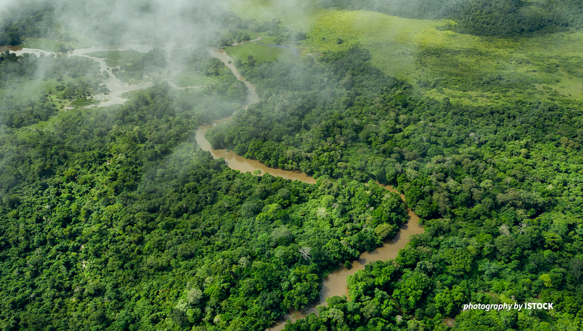 Aerial shot of Congo Basin rainforest