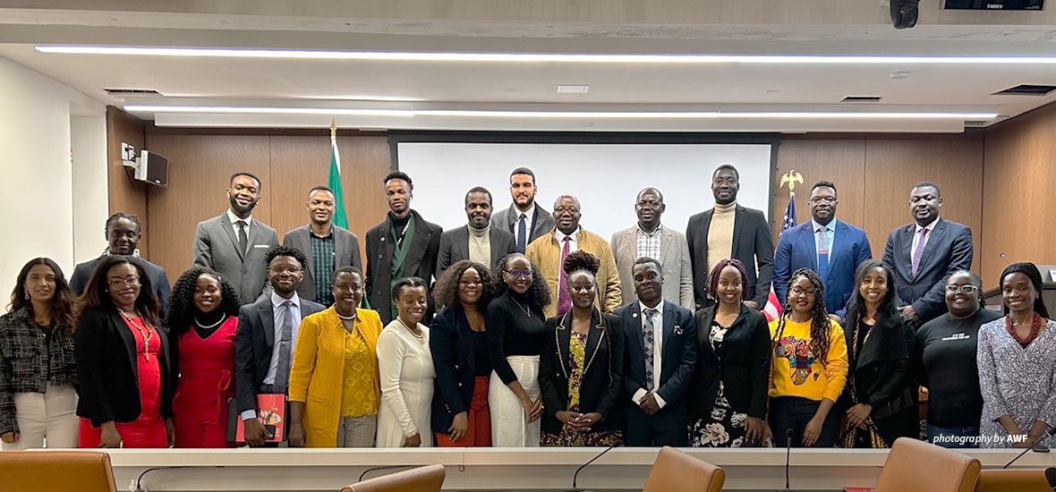 African youth diaspora leaders at consultative forum