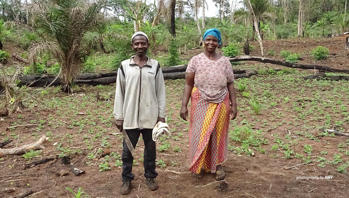 Cassava farmers in DRC