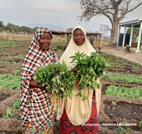 Women at AWF-ICRAF nursery in Faro 