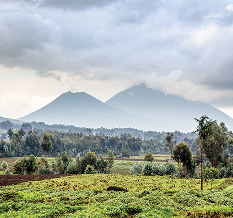 Two mountains in Volcanoes National Park.