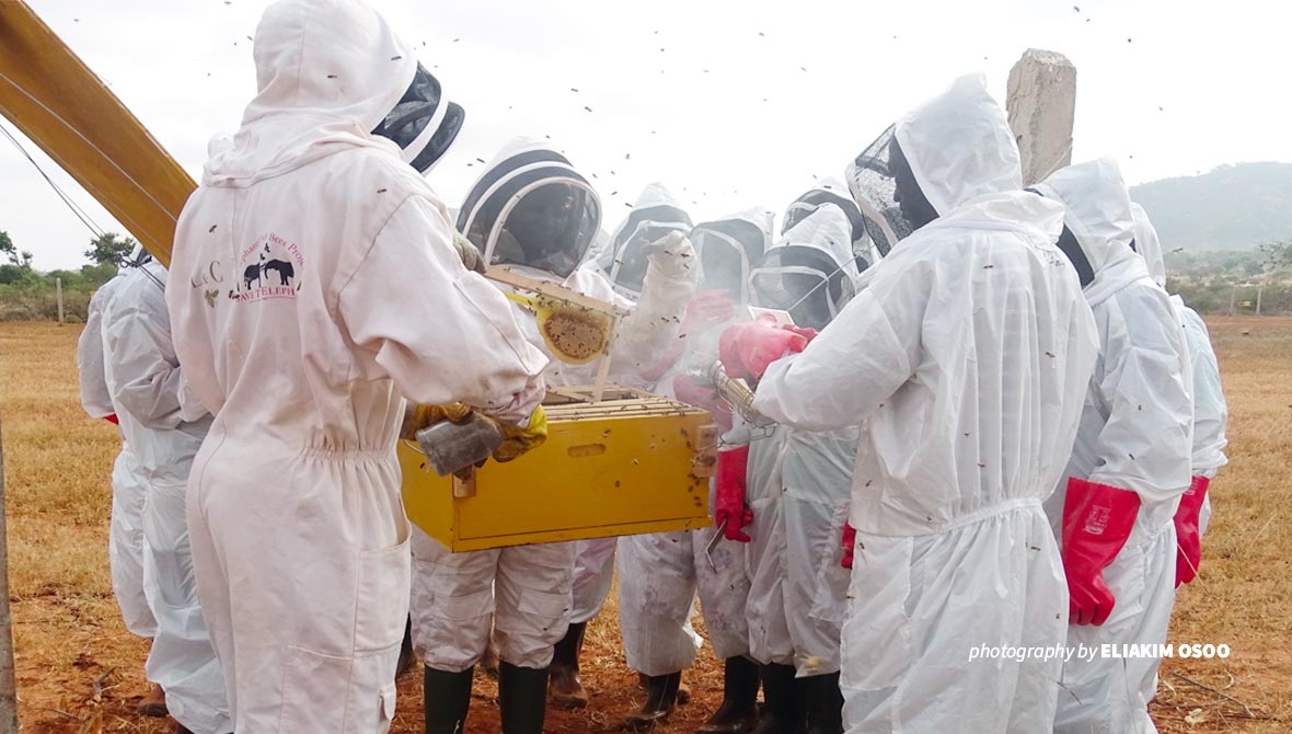 Beekeeping training in Tsavo