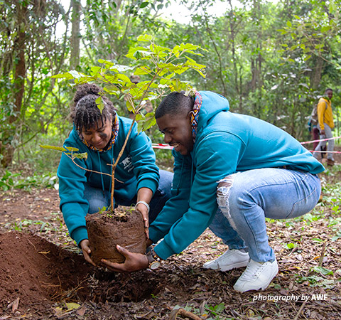 Graham Kudakwashe Ndou planting a tree