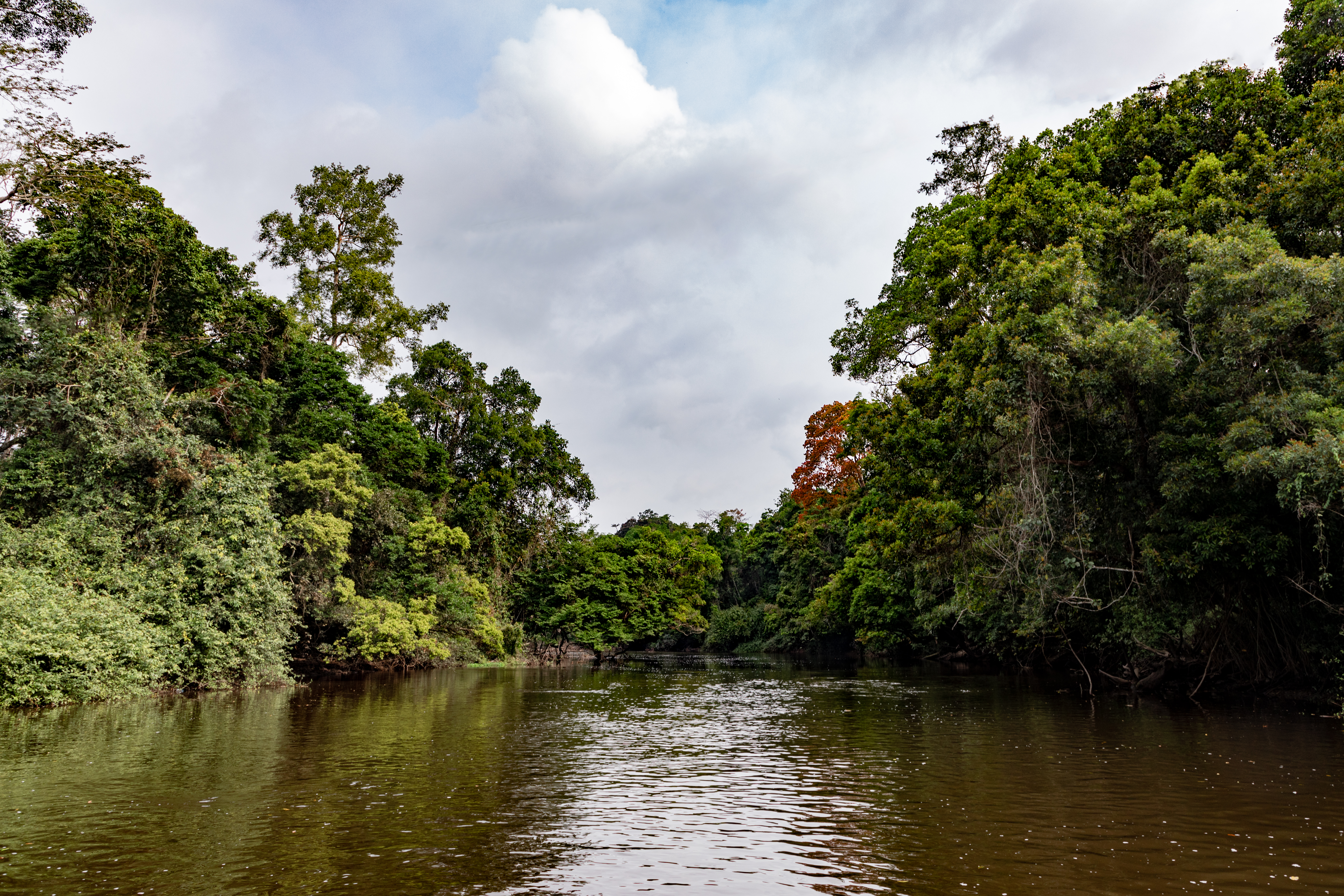 Cameroon landscape