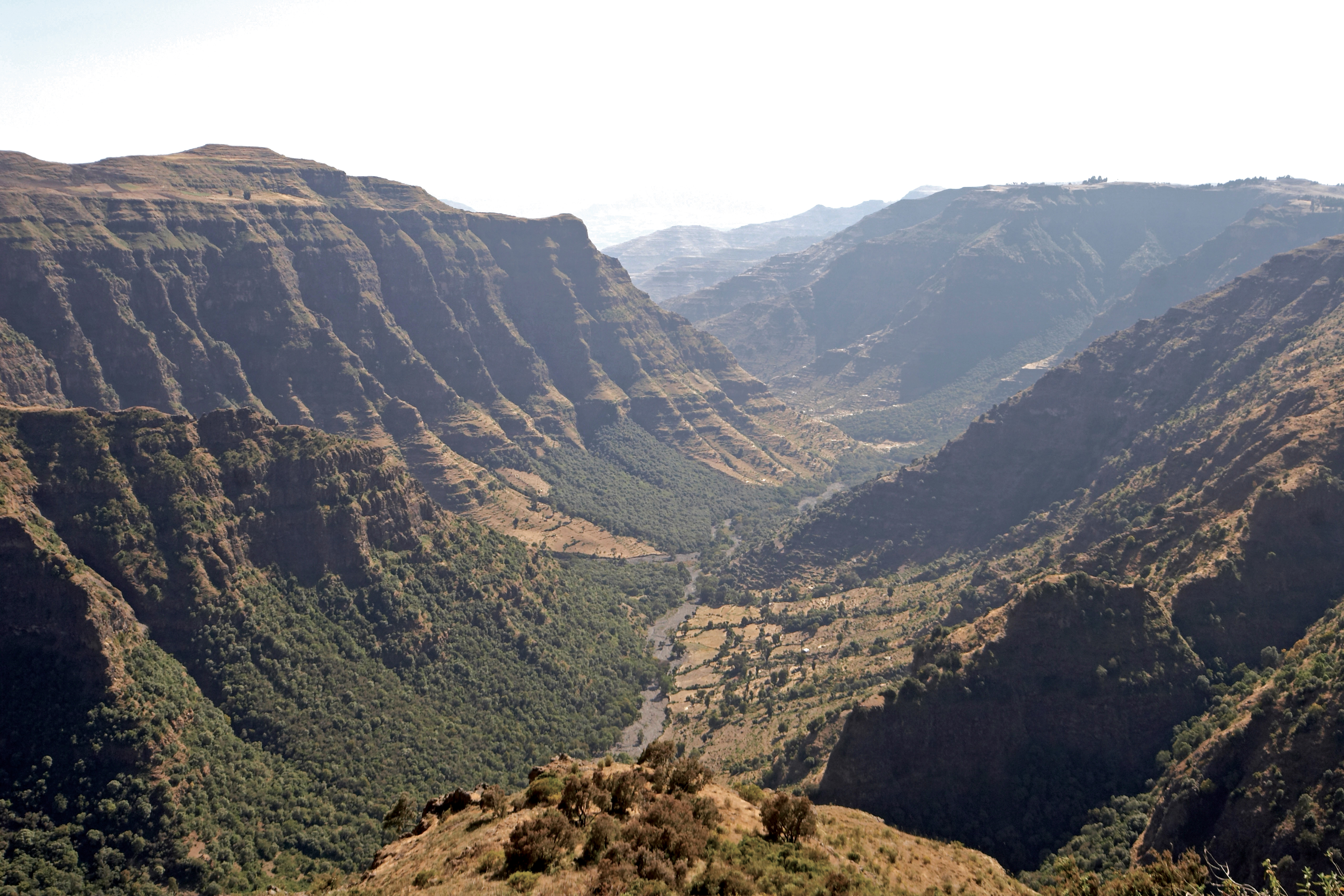 Ethiopian landscape