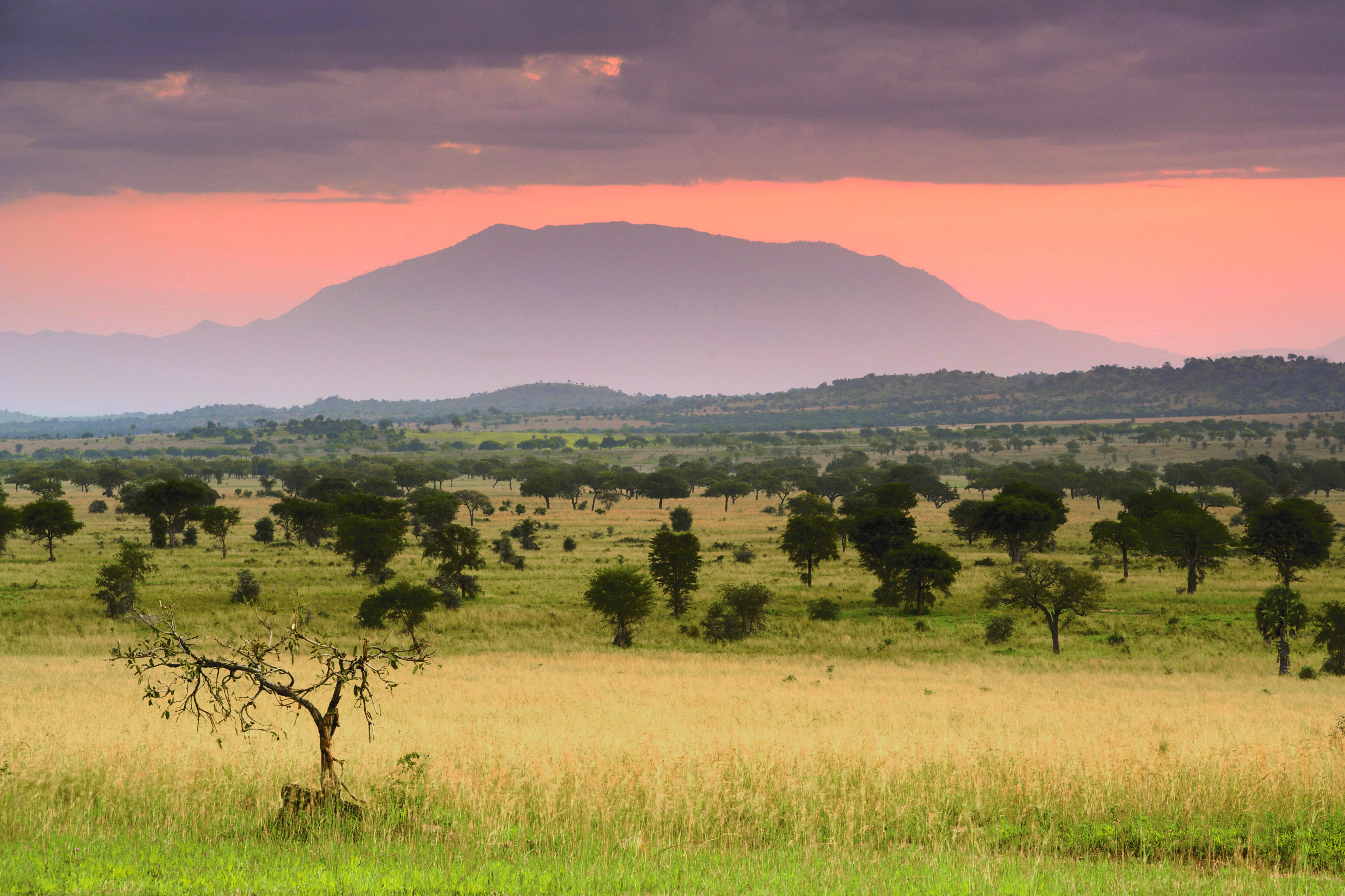 Kidepo landscape