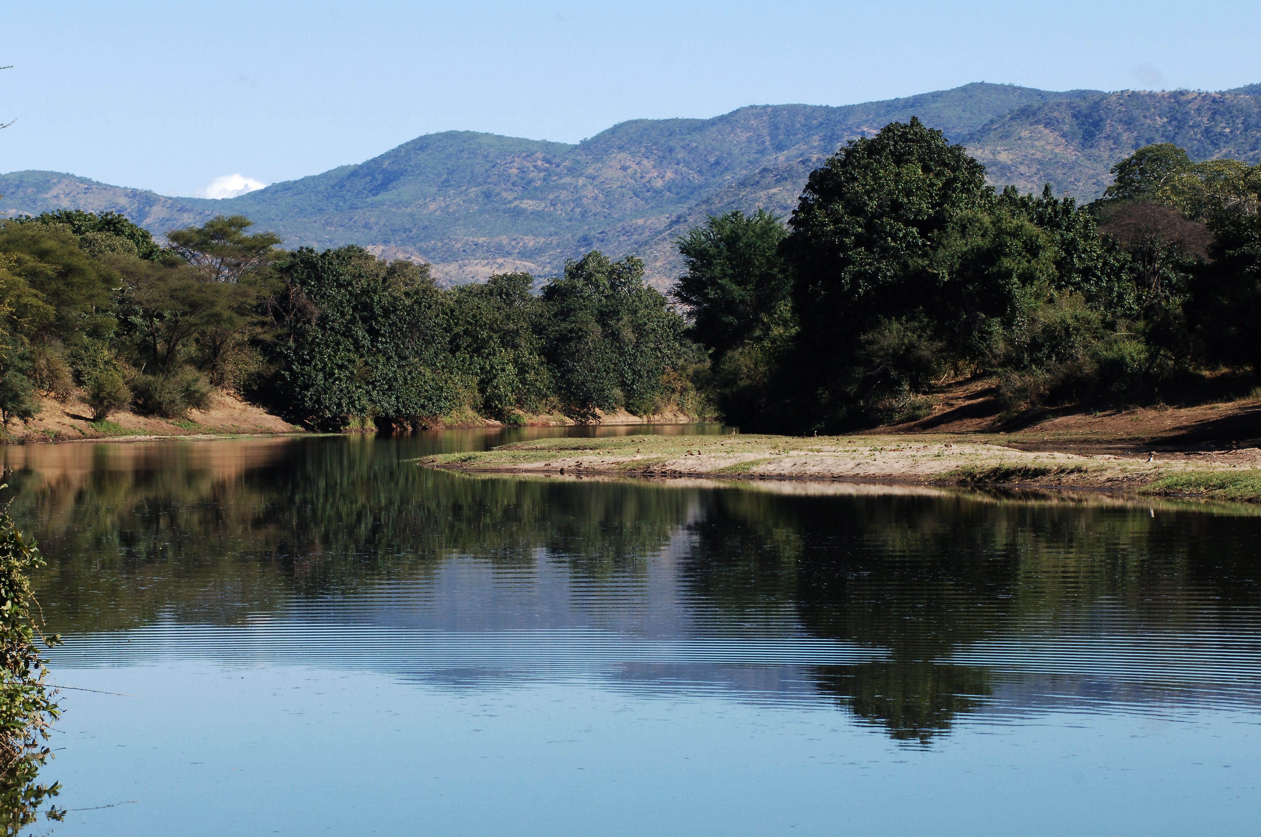 Mid-zambezi landscape