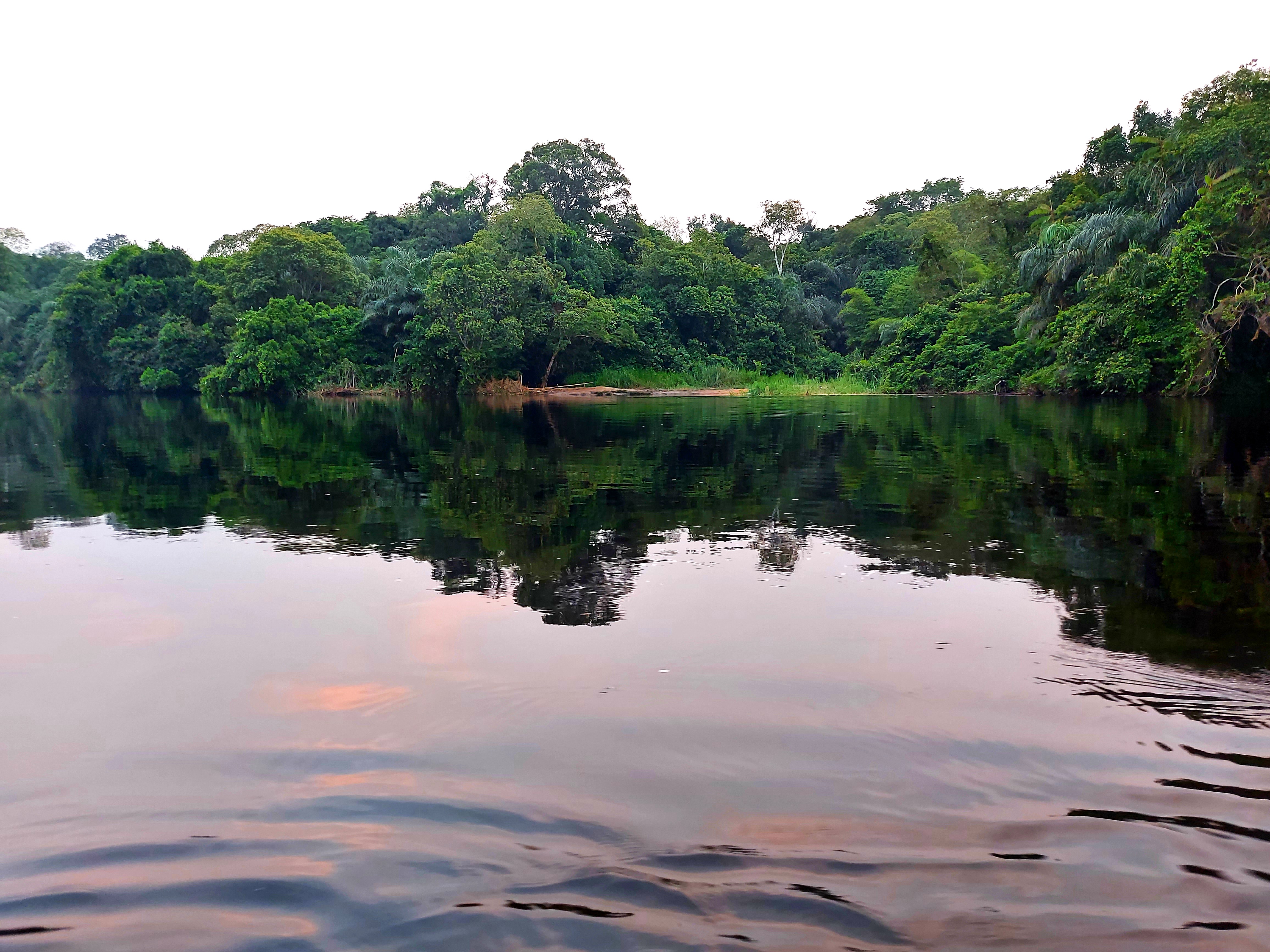 Margina-Lopori-Wamba landscape