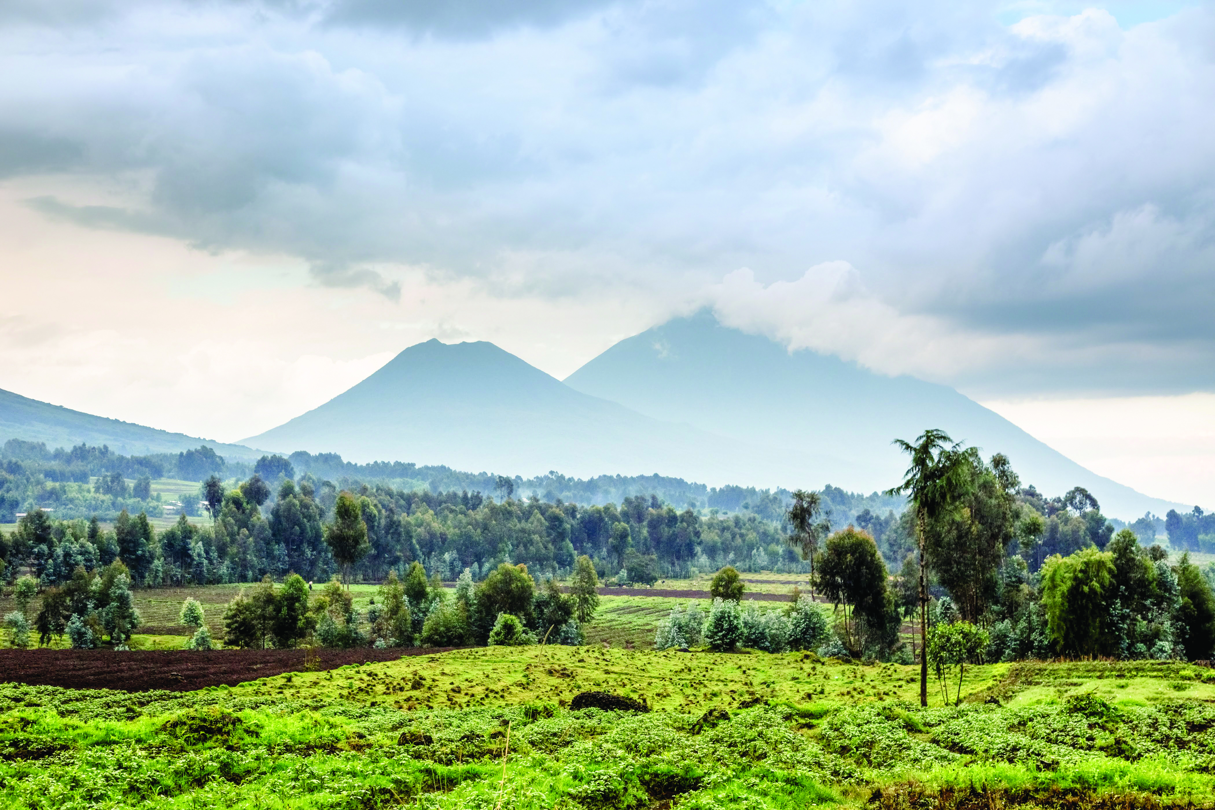 Rwanda landscape