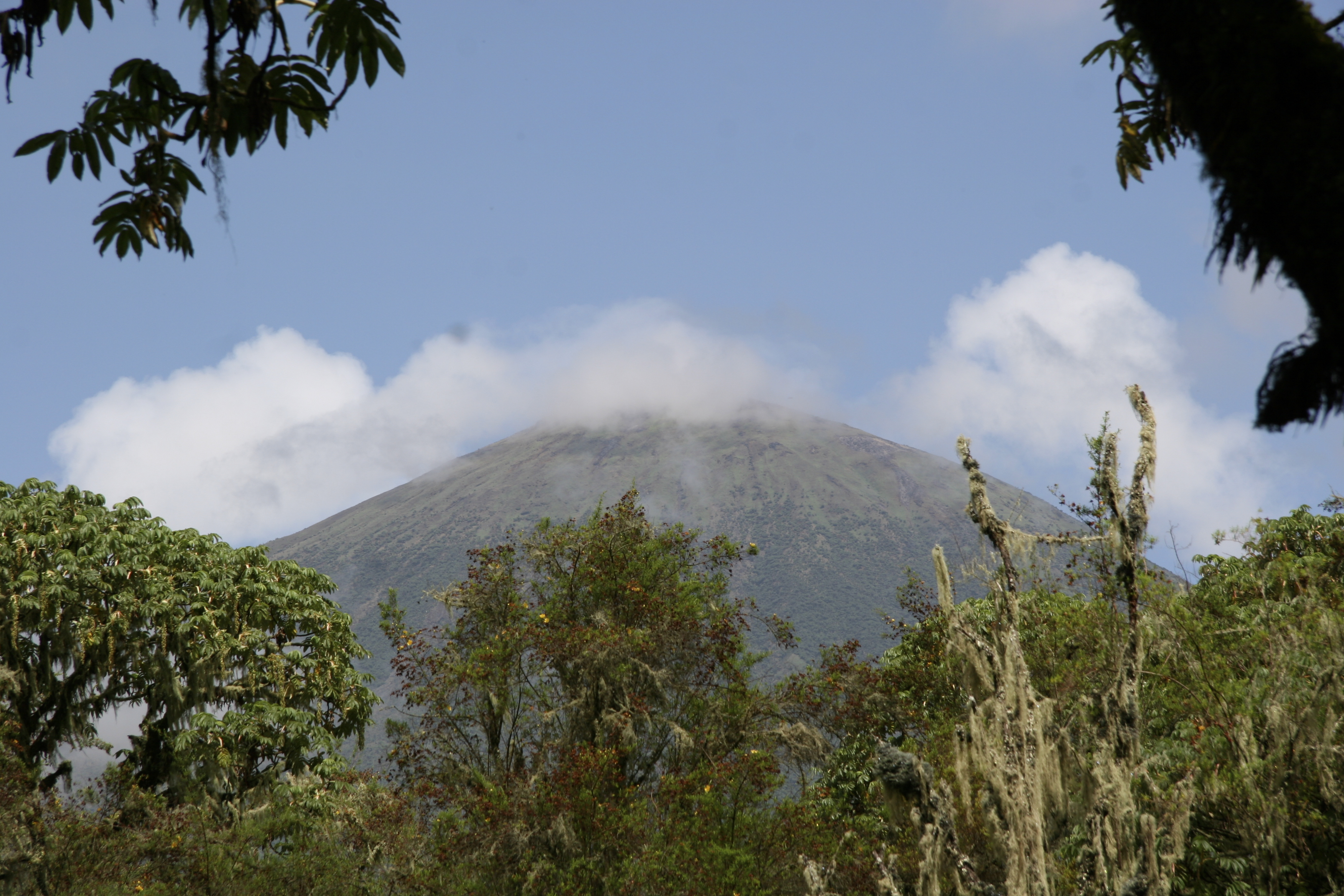 Virungas landscape