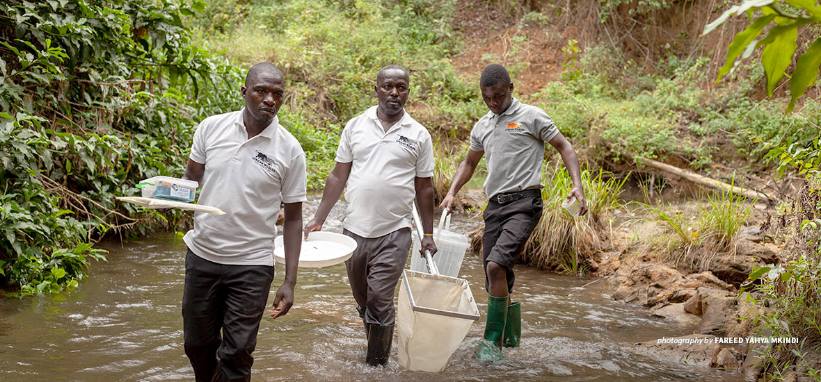 River assessment