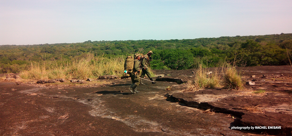 Rangers on patrol.