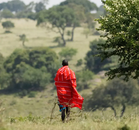 Person walking