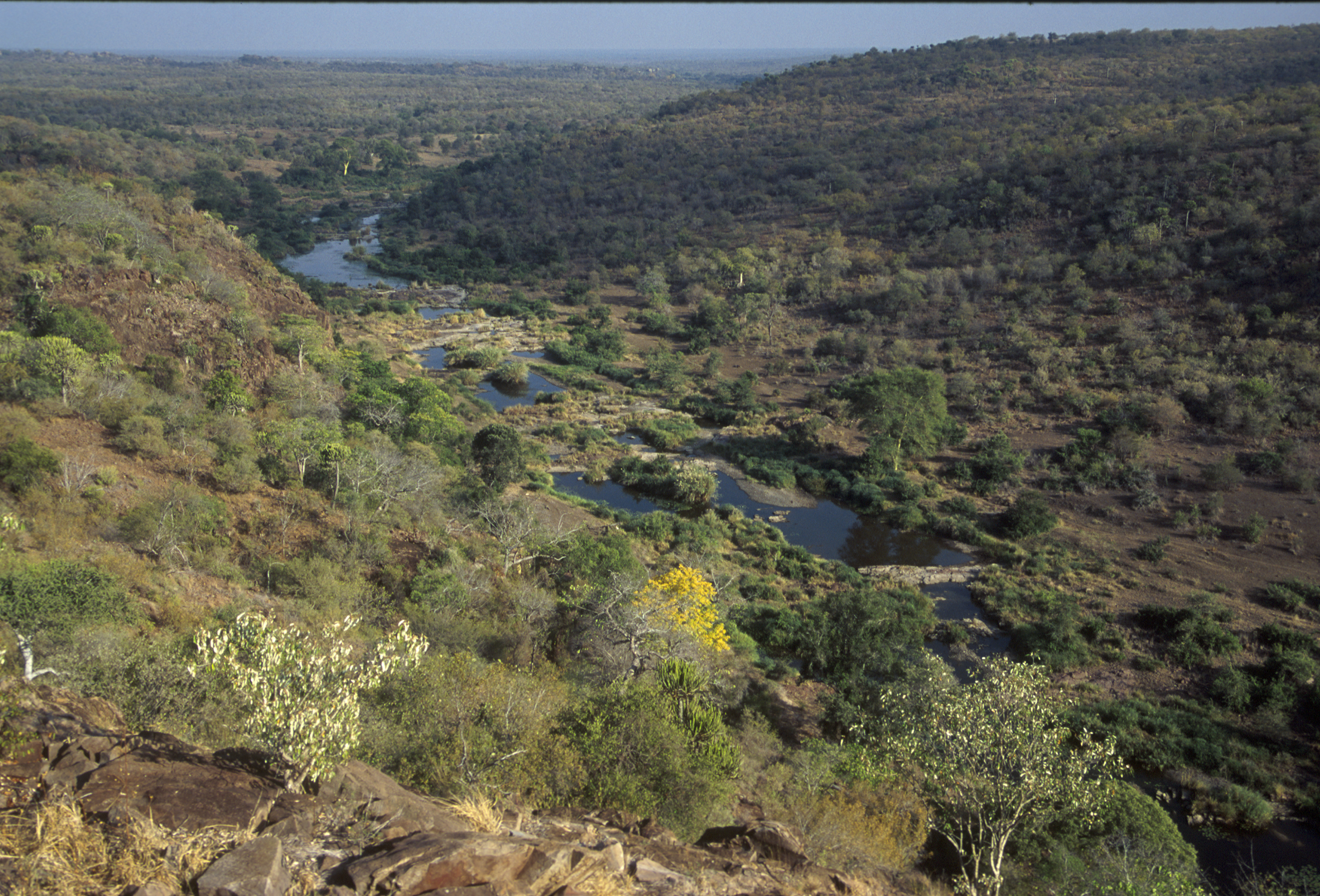 Mozambique landscape