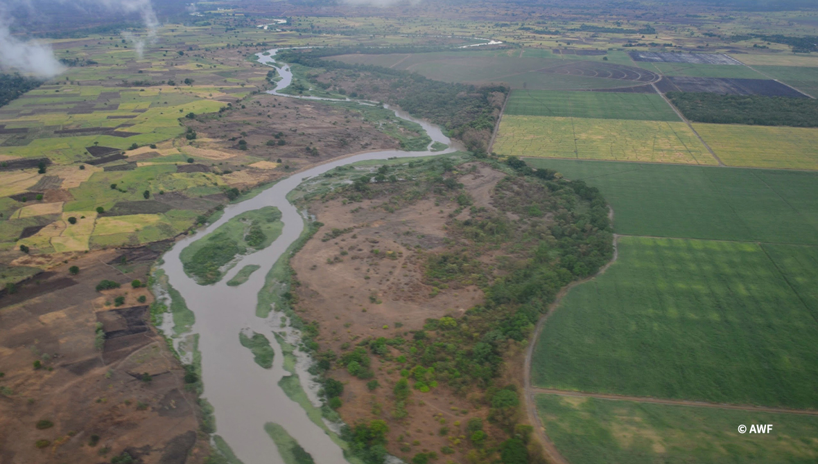 Landscape shot of a river.