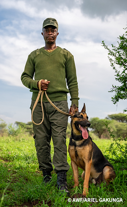 A ranger stands with a canine.