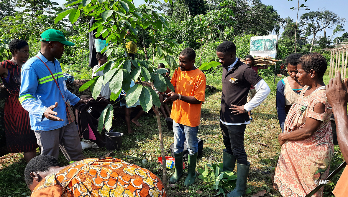 Photo: Innovative agriculture techniques like agroforestry enable farmers to produce more crops—and do so sustainably.