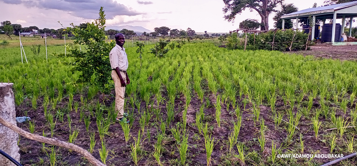 A man stands in a garden.