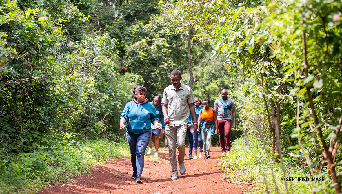 Fellows walk down a forest path.