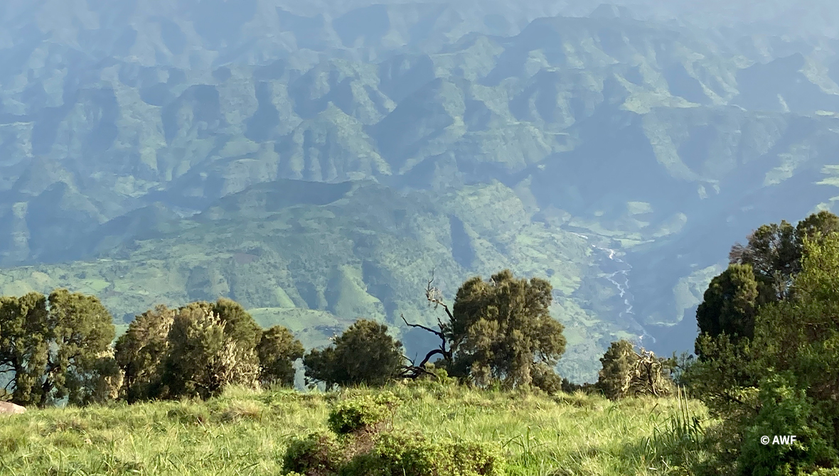 Mountain landscape.