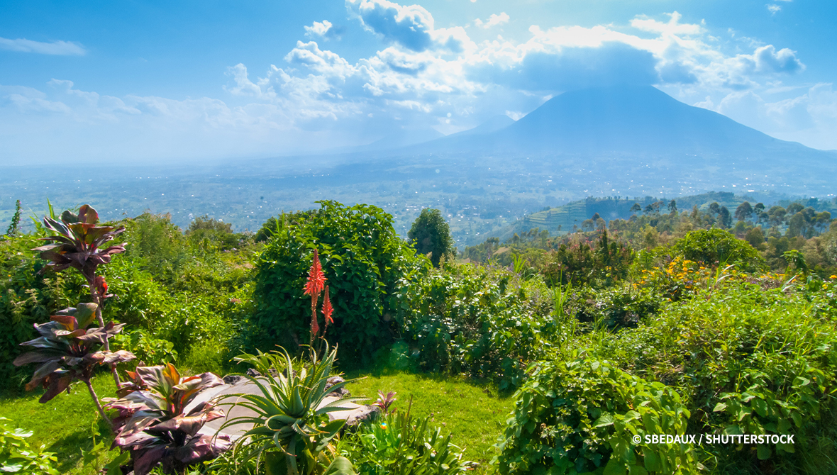 A green landscape with a mountain in the background