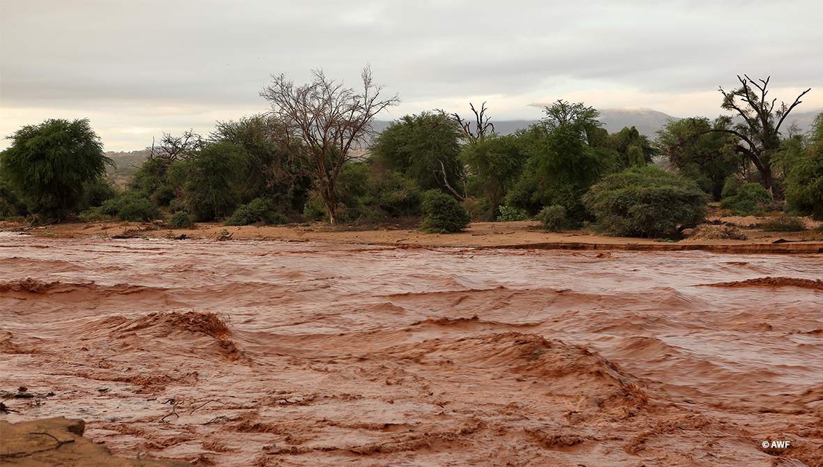 Floods in Samburu