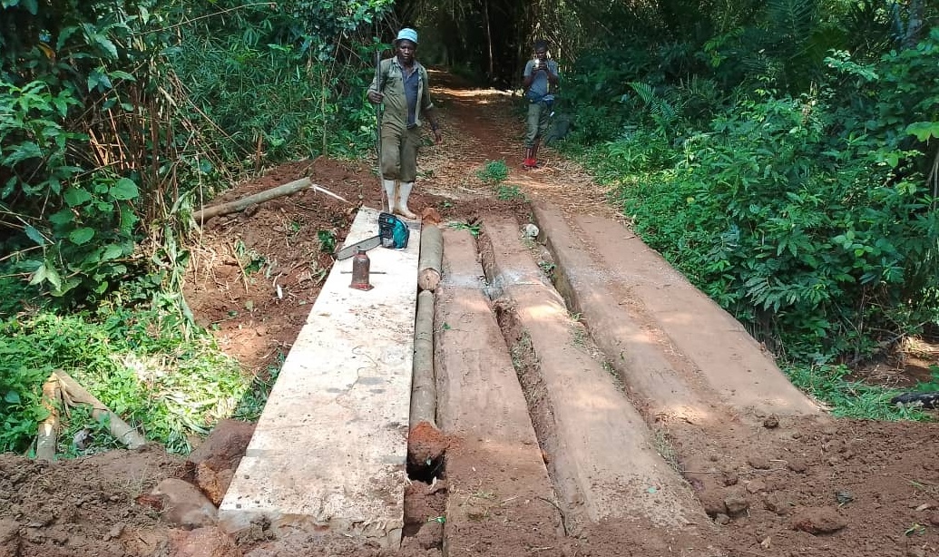 A bridge in rural DRC.