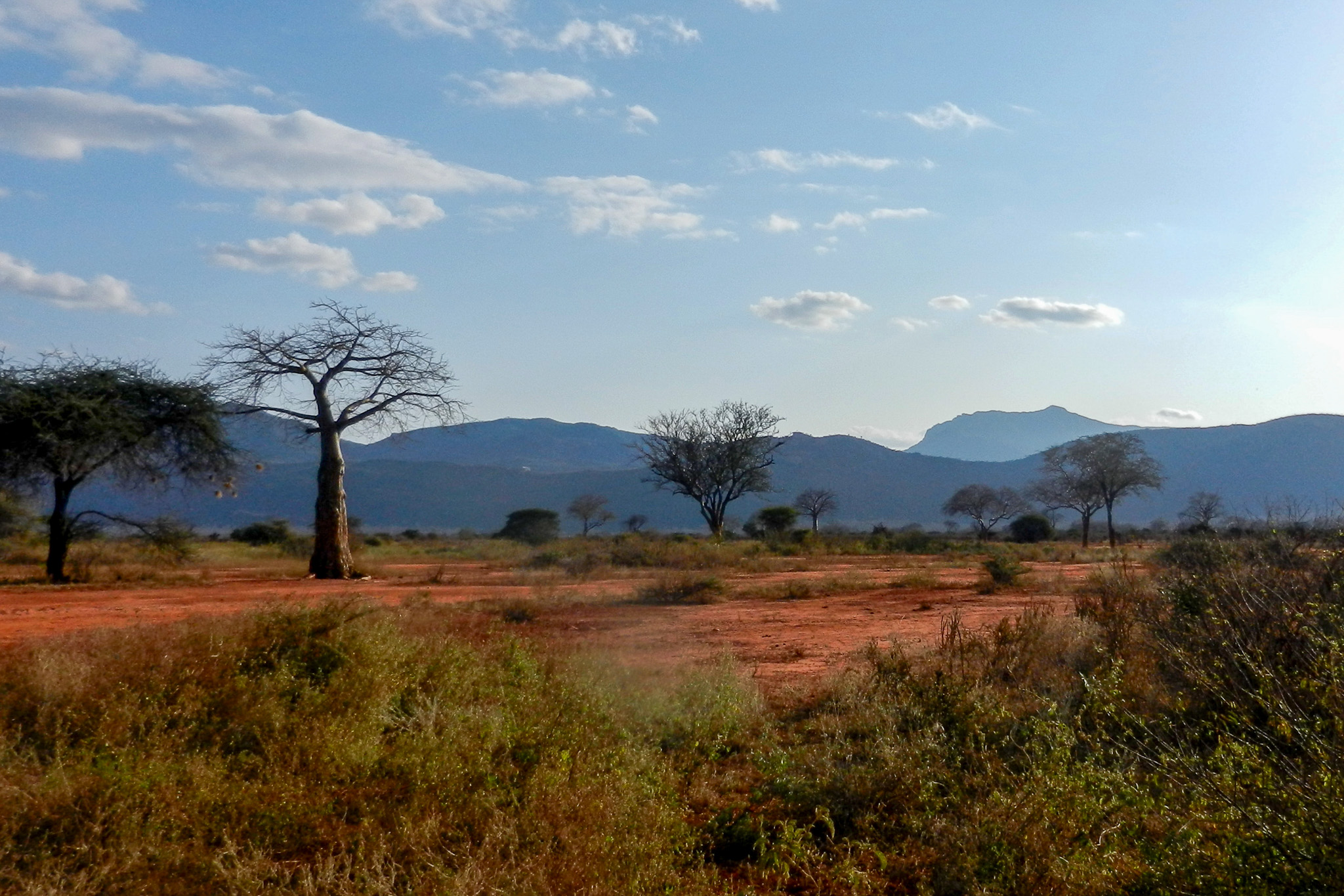 Ngulia Rhino Sanctuary in Tsavo West National Park 