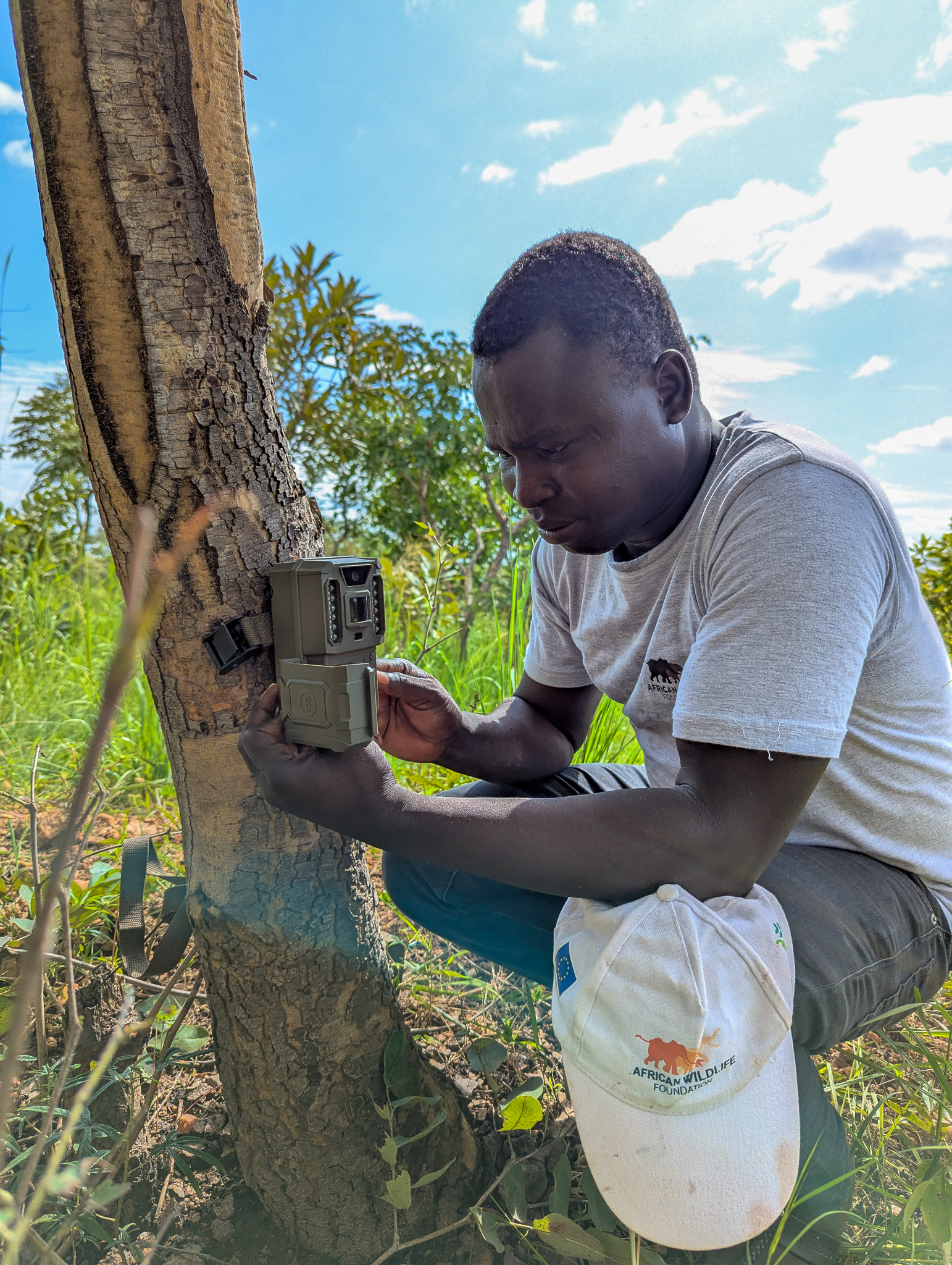 Dr. Taiga retrieves data from the cameratraps
