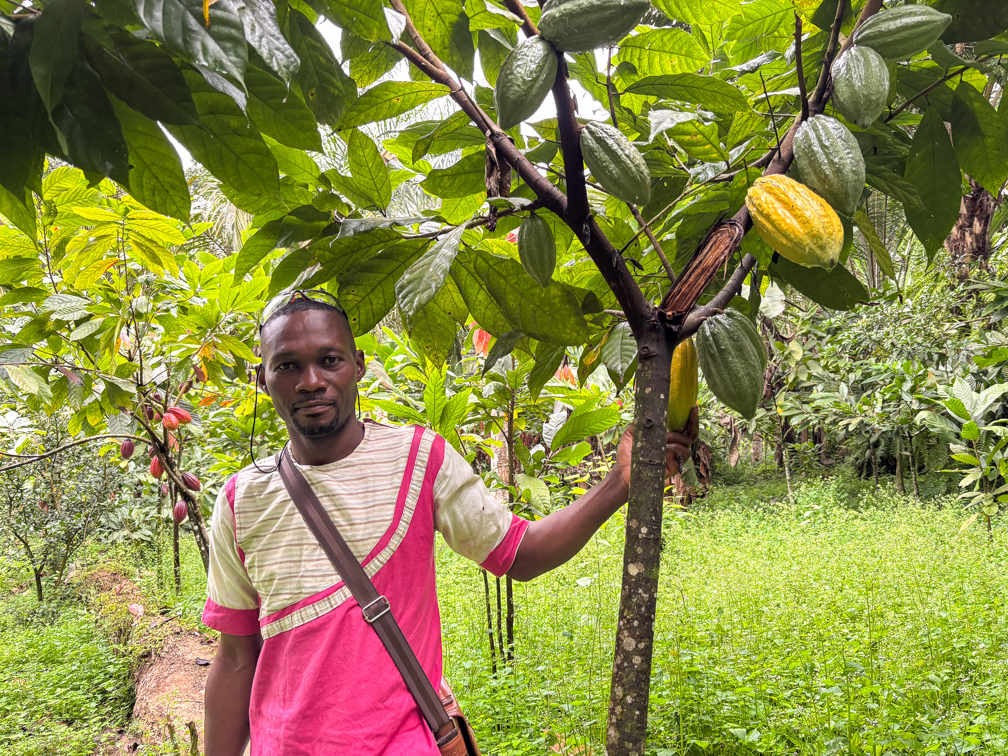 Zamo Yves standing in his 3.5 hectare cocoa farm in Nnemeyong in Southern Cameroon