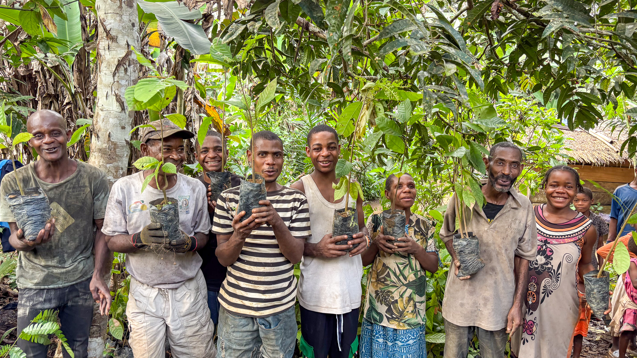 Bagyeli Indigenous community members holding cocoa plants received from AWF through FEDEC funding for planting in their farms alongside their rubber plantations. 