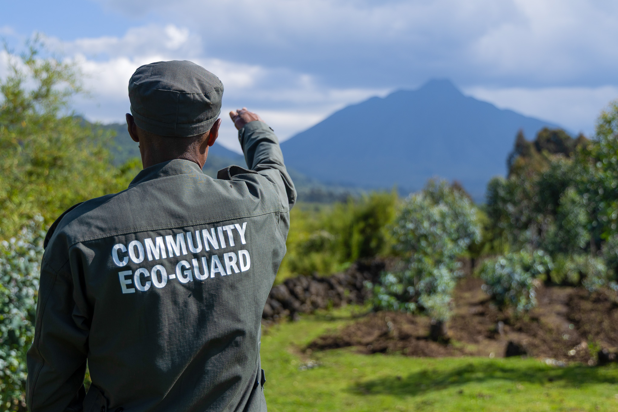 A Community Eco-Guard surveys the Volcanoes Landscape.