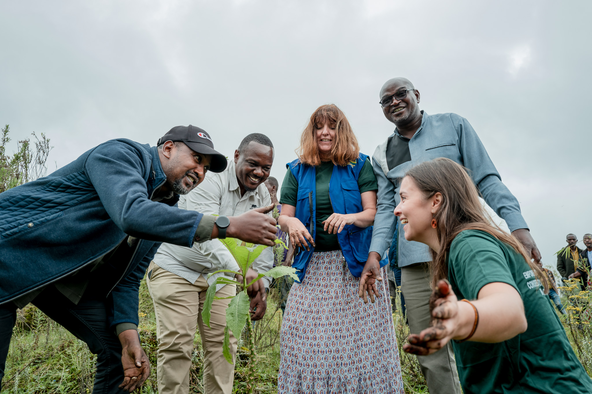 AWF Rwanda Country Coordinator, Patrick Nsabimina (2nd from left) engages with government stakeholders and EU development partners during a tree planting exercise in Kinigi, Rwanda. 