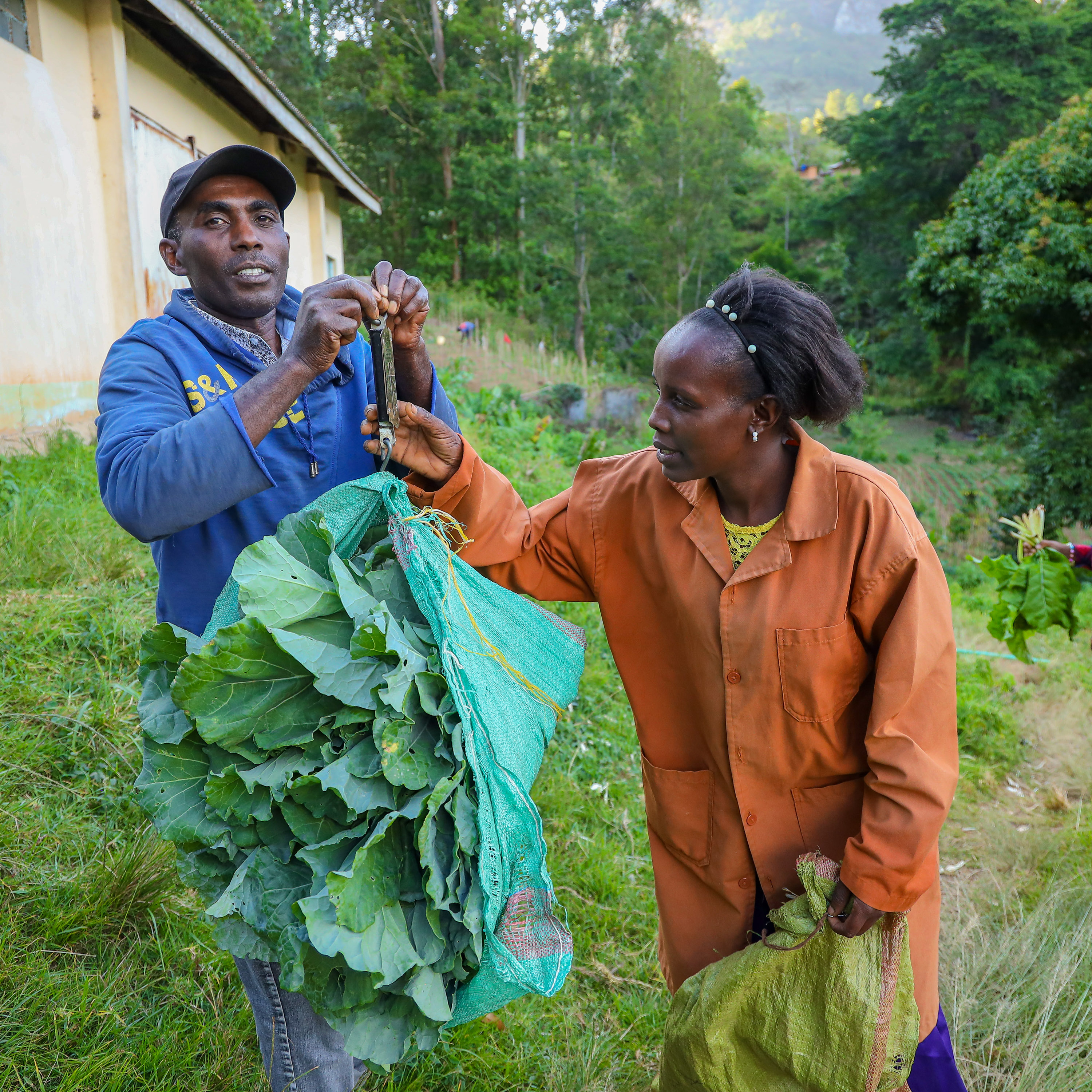 Jedida Mesi weighs produce before selling to a community member.