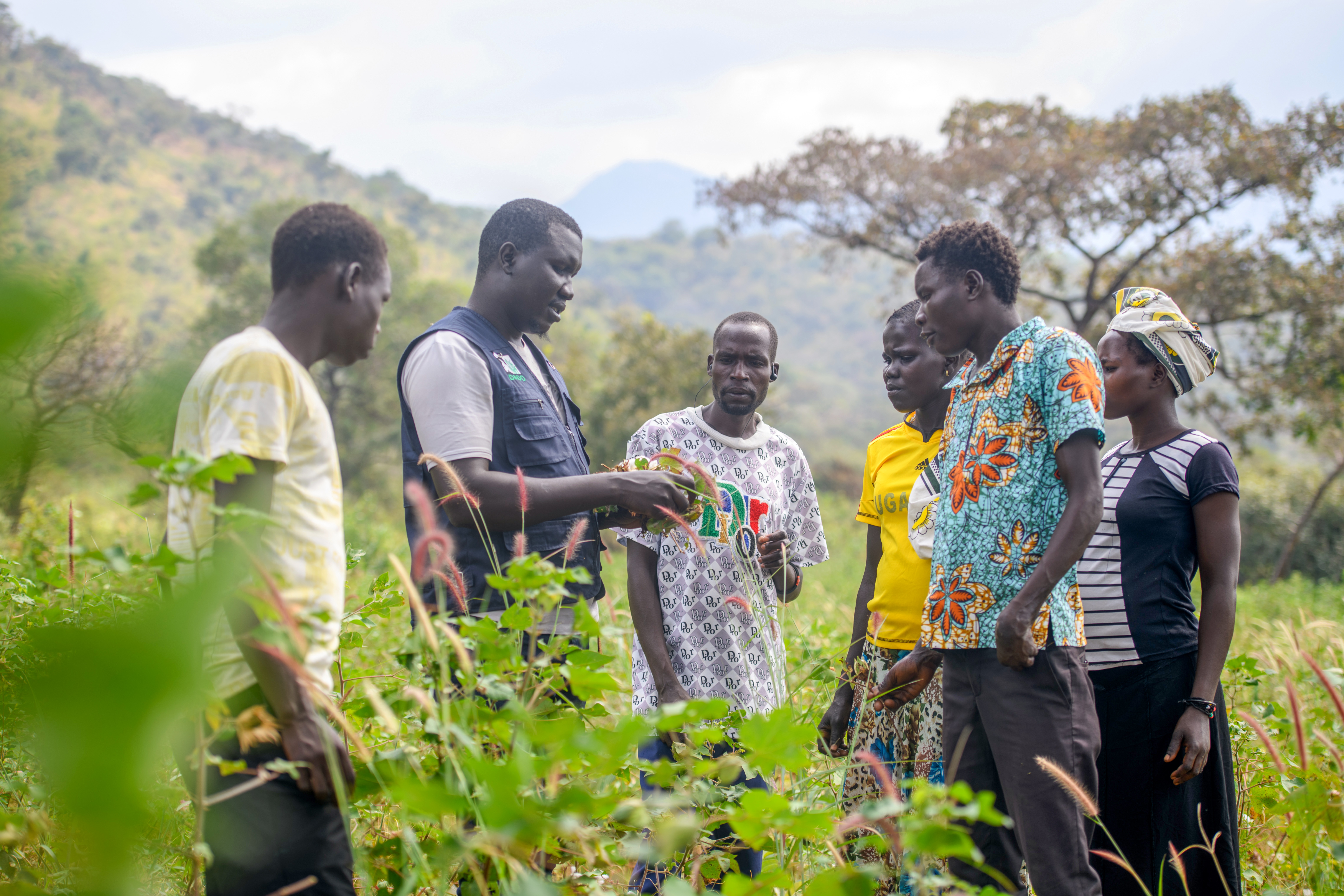 Cotton farmers in Kidepo in a learning session with an officer from the Dynamic Agro-Pastoralist Development Organization.
